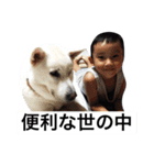 紀州犬と一緒（個別スタンプ：38）