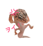 こひろスタンプ 2（個別スタンプ：6）