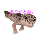 こひろスタンプ 2（個別スタンプ：7）