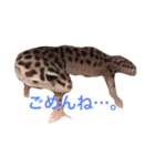 こひろスタンプ 2（個別スタンプ：8）