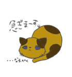 猫暮らしあるある（個別スタンプ：6）