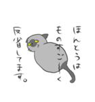 猫暮らしあるある（個別スタンプ：7）