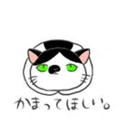 猫暮らしあるある（個別スタンプ：11）