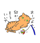 猫暮らしあるある（個別スタンプ：13）