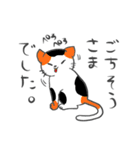 猫暮らしあるある（個別スタンプ：14）