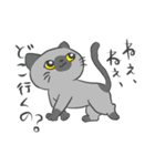 猫暮らしあるある（個別スタンプ：31）