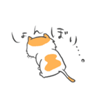 猫暮らしあるある（個別スタンプ：33）