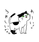 猫暮らしあるある（個別スタンプ：34）