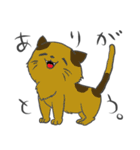 猫暮らしあるある（個別スタンプ：39）