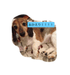 ひめの日常！（個別スタンプ：7）