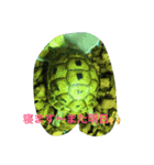 BANNyo（個別スタンプ：5）