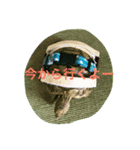 BANNyo（個別スタンプ：6）