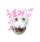 esutera2（個別スタンプ：2）