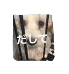 esutera2（個別スタンプ：4）