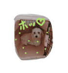 esutera2（個別スタンプ：8）