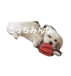 エステラ（個別スタンプ：1）