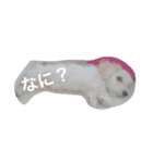 エステラ（個別スタンプ：2）