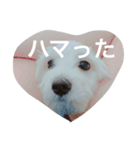 エステラ（個別スタンプ：3）