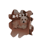 エステラ（個別スタンプ：6）