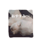 エステラ（個別スタンプ：7）