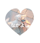 エステラ（個別スタンプ：8）