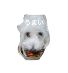 エステラ（個別スタンプ：10）