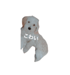 エステラ（個別スタンプ：15）