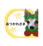 チワワのサクラ☆aloha②（個別スタンプ：1）