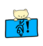 The cat with The word（個別スタンプ：20）