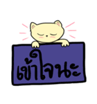 The cat with The word（個別スタンプ：38）