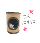 ぶちゃかわ猫たんの日常（個別スタンプ：1）