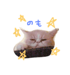ぶちゃかわ猫たんの日常（個別スタンプ：3）