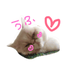 ぶちゃかわ猫たんの日常（個別スタンプ：4）
