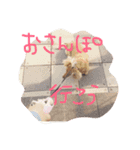 めんまのめんちゃん2（個別スタンプ：7）