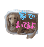 めんまのめんちゃん2（個別スタンプ：10）