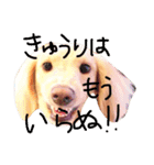 めんまのめんちゃん2（個別スタンプ：12）