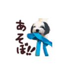 もふ犬の気まぐれすたんぷ（個別スタンプ：8）
