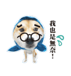 Shiba Inu - Lettuce.（個別スタンプ：2）