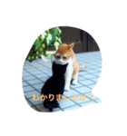 munyanko4（個別スタンプ：1）