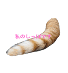 munyanko4（個別スタンプ：5）