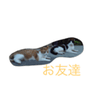 munyanko4（個別スタンプ：8）