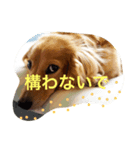 ムーニャン（個別スタンプ：4）