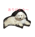 風太君です（個別スタンプ：6）