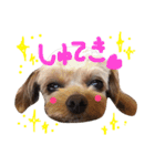 ピノたんユニたん（個別スタンプ：3）