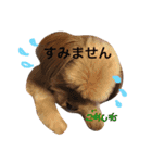 ピノたんユニたん（個別スタンプ：8）