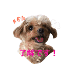ピノたんユニたん（個別スタンプ：9）