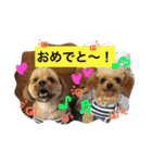 ピノたんユニたん（個別スタンプ：13）