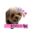 ピノたんユニたん（個別スタンプ：15）