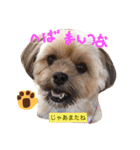 ピノたんユニたん（個別スタンプ：16）