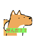 動物たん（個別スタンプ：3）